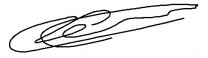 03-175205000-05878.jpg