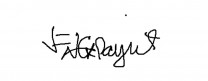 27-175205000-05065.jpg