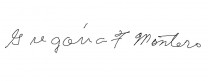 27-175205000-06439.jpg