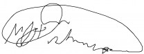 28-175205000-05852.jpg