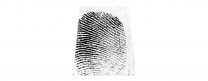 WIN_20210624_ert14_09_38_Pro.jpg